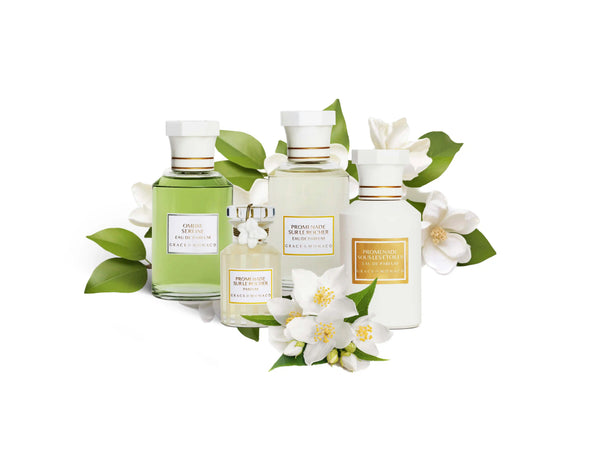 Ingredient Spotlight on Jasmine: The Essential Flower of Perfumery