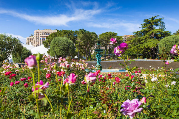 The Eternal Bloom: Grace Kelly’s Love of Flowers