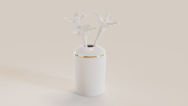 A Graceful Reverie: Designing a Home Fit for a Princess