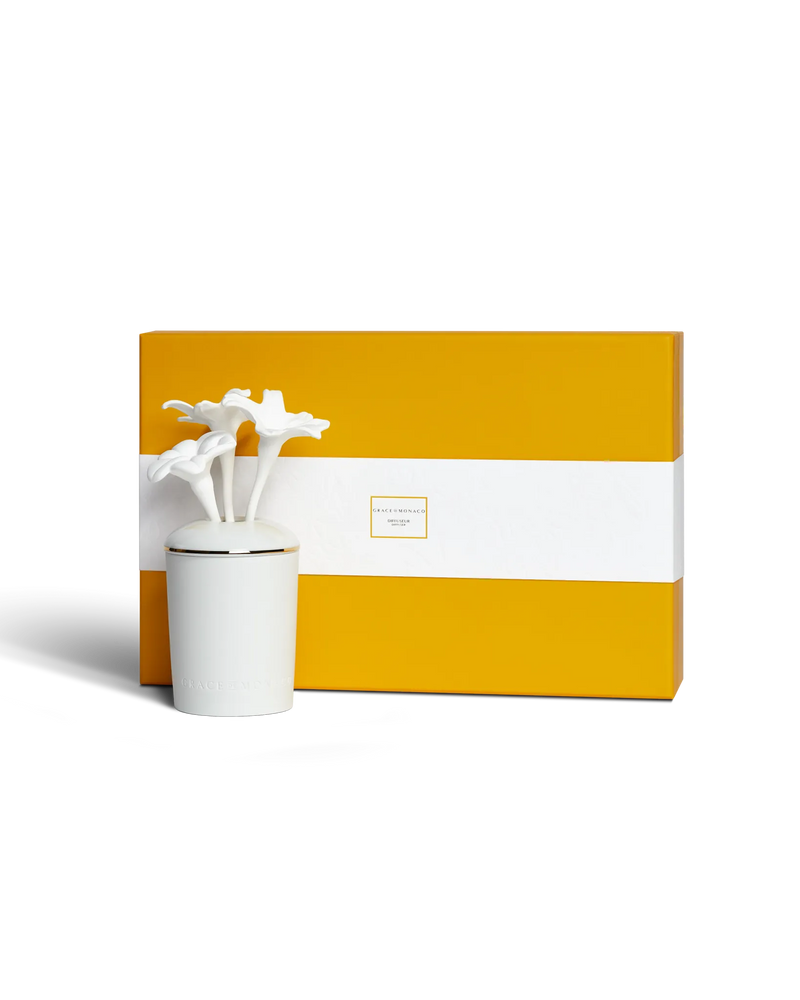 Porcelain Fragrance Diffuser