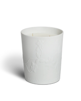 Promenade Sur Le Rocher Large Scented Candle