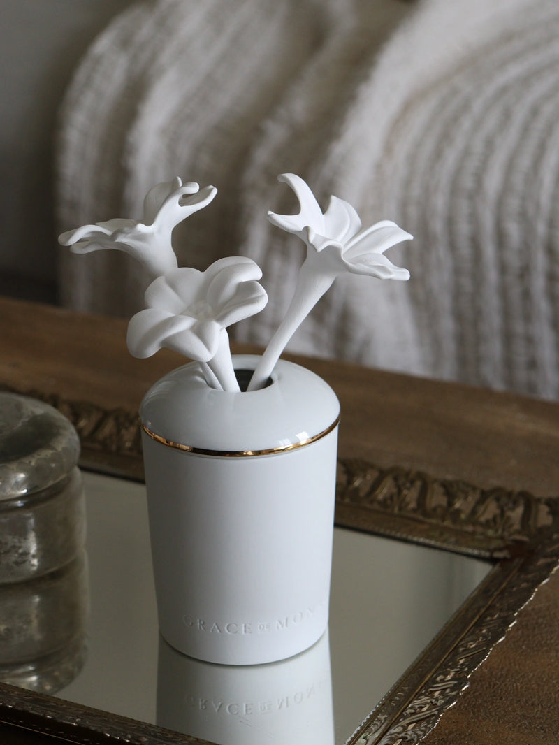 Porcelain Fragrance Diffuser