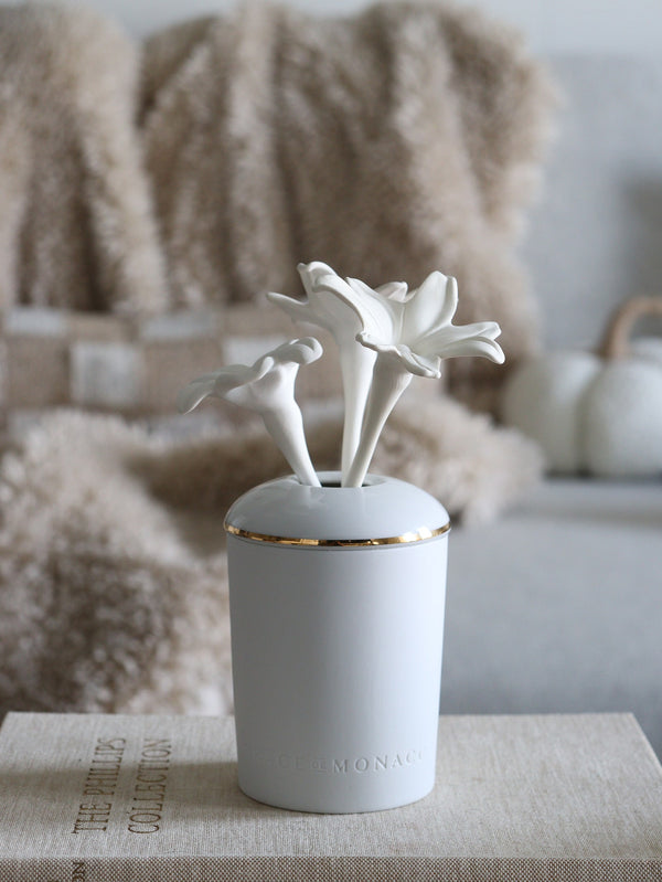 Porcelain Fragrance Diffuser