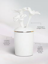 Porcelain Fragrance Diffuser