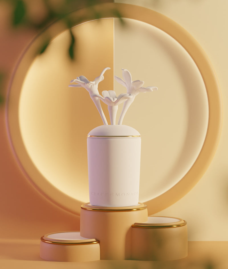 Porcelain Fragrance Diffuser