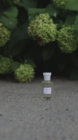 Danse Étoilée Eau de Parfum