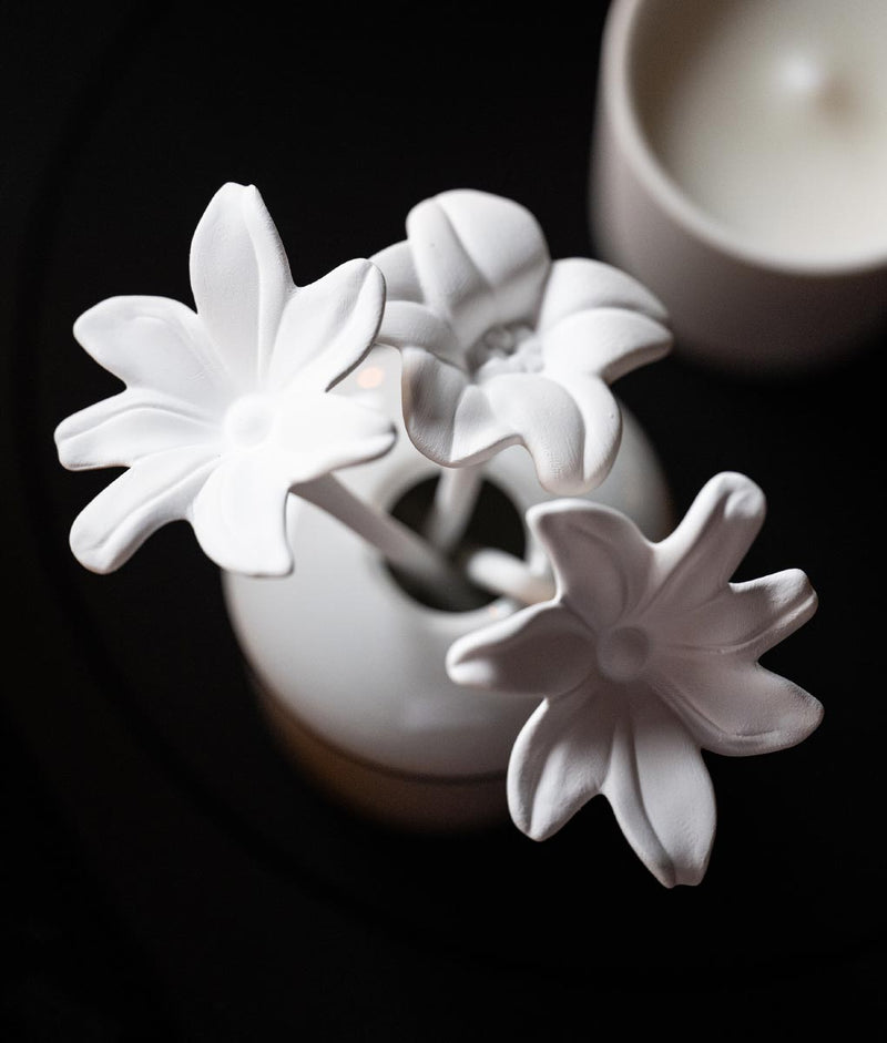 Porcelain Fragrance Diffuser